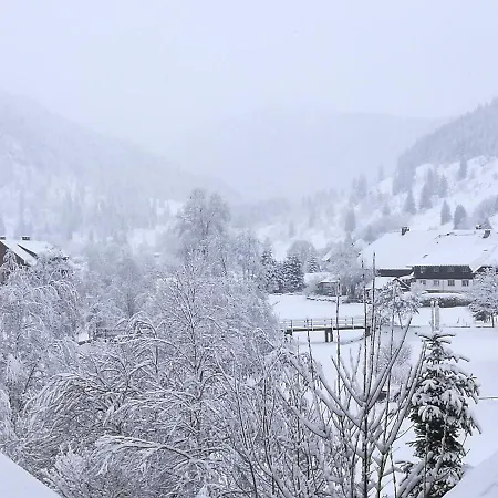 B3 Ferienwohnubg Im Schwarzwald