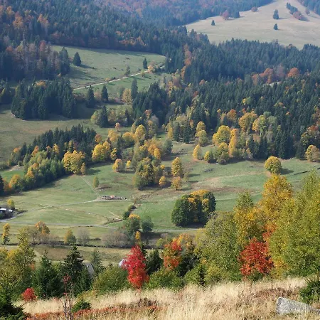 アパート B3 Ferienwohnubg Im Schwarzwald