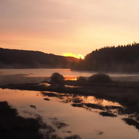 アパート B3 Ferienwohnubg Im Schwarzwald *