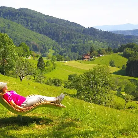 B3 Ferienwohnubg Im Schwarzwald *