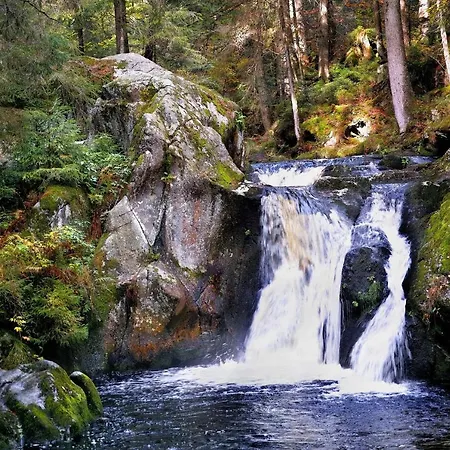 B3 Ferienwohnubg Im Schwarzwald アパート Menzenschwand-Hinterdorf