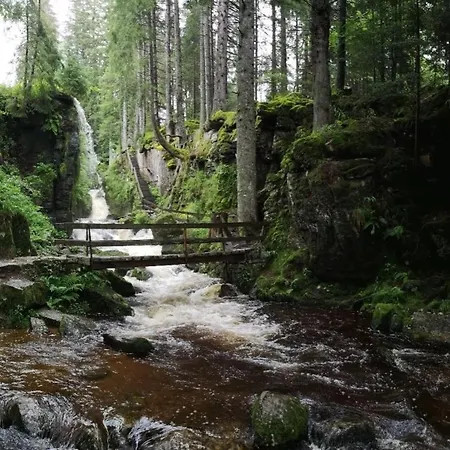 B3 Ferienwohnubg Im Schwarzwald * Menzenschwand-Hinterdorf